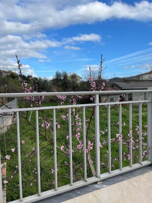 Casa Da Celeste Maljoga de Proenca 外观 照片