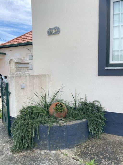 Casa Da Celeste Maljoga de Proenca 外观 照片